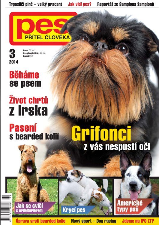 Hund Fotografieren ateli�r Praha, profesion�ln� fotograf Praha